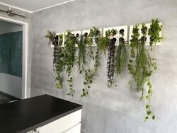 Tiong Bahru Estate (D3), Apartment #514018181